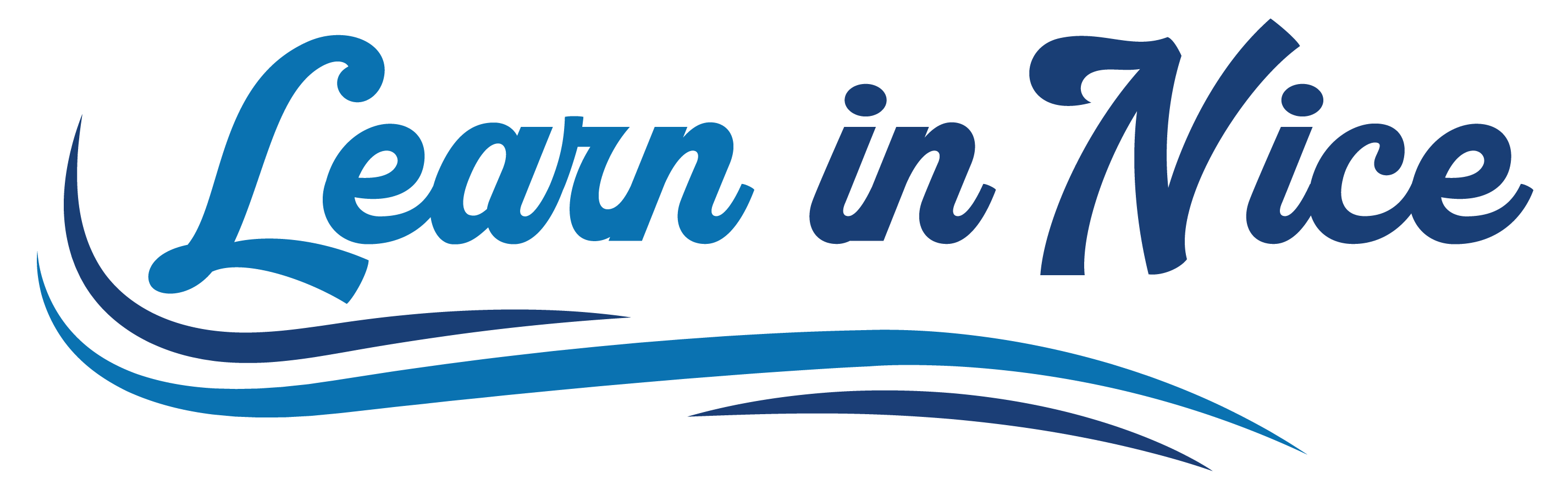 Logo Learn in Nice